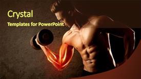  Presentation with weight lifting - Slides having anatomie sportsman - fit bodybuilder lifting weight background and a wine colored foreground