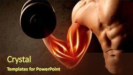  Presentation with weight lifting - PPT theme consisting of anatomie sportsman - fit bodybuilder lifting weight background and a tawny brown colored foreground