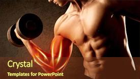  Presentation with weight lifting - Presentation theme having anatomie sportsman - fit bodybuilder lifting weight background and a  colored foreground