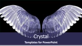  Presentation with angel wings - Slides with anatomy - angel wings isolated on black background and a ocean colored foreground