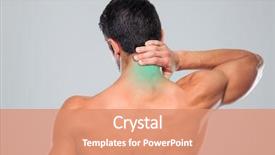  Presentation with anatomy neck - Audience pleasing presentation theme consisting of anatomy - back view portrait backdrop and a coral colored foreground