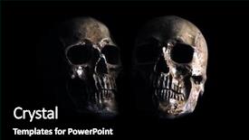  Presentation with spooky - Slides consisting of anatomy - halloween skull spooky halloween skull background and a black colored foreground