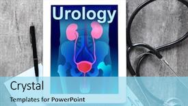  Presentation with urology - Slides featuring anatomy - tablet and stethoscope on wooden background and a arctic colored foreground