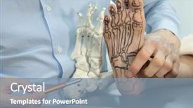  Presentation with comparison - Beautiful presentation theme featuring anatomy lesson -presentation of human backdrop and a seafoam green colored foreground