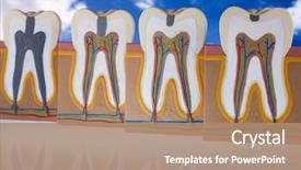  Presentation with machine tool structure - Presentation theme featuring anatomy nerves - human tooth structure background and a coral colored foreground