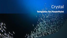  Presentation with fish ocean - Theme with anchovies-fish-and-blue-ocean background and a ocean colored foreground