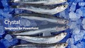  Presentation with fishes - Slides having anchovies fresh fishes on ice in a row and blue wooden table background and a ocean colored foreground