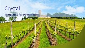  Presentation with vineyard - Theme with wine history - ancient castle and vineyard background and a sky blue colored foreground