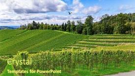  Presentation with culture - Slides featuring ancient-culture-of-winemaking-germany background and a tawny brown colored foreground