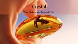  Presentation with frog - PPT layouts consisting of ancient frog from amber background and a red colored foreground