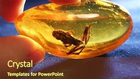  Presentation with frog - Audience pleasing presentation theme consisting of ancient frog from amber backdrop and a tawny brown colored foreground