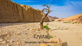  Presentation with desert neighborhood - Audience pleasing slide deck consisting of stone desert in neighborhood of the sea resort of eilat walking route on picturesque black canyon fancifully curved dried tree backdrop and a coral colored foreground