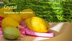  Presentation with ancient israel - Beautiful slides featuring ancient jewish autumn holiday sukkot backdrop and a tawny brown colored foreground