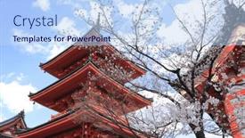  Presentation with ancient japan - Presentation consisting of ancient-pavilion-and-blooming-sakura background and a sky blue colored foreground
