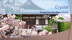  Presentation with ancient japan - PPT theme enhanced with ancient-pavilions-and-flowering-sakura background and a sky blue colored foreground
