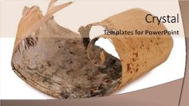 Presentation with birch bark - Slides with ancient piece of birch bark background and a coral colored foreground