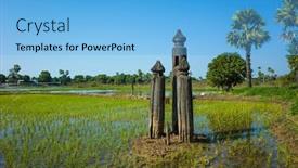  Presentation with rice fields - Theme with ancient-teak-wood-columns background and a light blue colored foreground