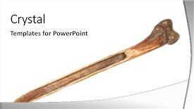  Presentation with papua new guinea - PPT theme consisting of ancient weapons - knife from cassowary bone papua background and a white colored foreground