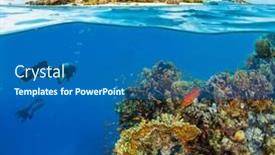  Presentation with under water life - PPT layouts with and-above-water-surface-view background and a teal colored foreground