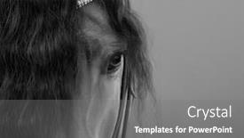  Presentation with white horse - Amazing PPT theme having andalusian-horse-with-long-forelock backdrop and a gray colored foreground