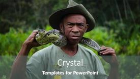  Presentation with experience - Beautiful presentation theme featuring andasibe-madagascar-december-16-portrait backdrop and a gray colored foreground