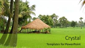  Presentation with hut - Amazing slides having andhra food - hut in the middle backdrop and a gold colored foreground