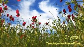  Presentation with rural tourism - Presentation theme with anemones-of-the-family background and a tawny brown colored foreground