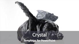  Presentation with angel wings - Presentation enhanced with angel black lab - concept dog background and a dark gray colored foreground