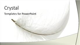  Presentation with angel wings - PPT layouts having angel wings - white feather isolated background and a white colored foreground