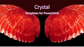  Presentation with angel wings - Colorful slides enhanced with angel wings isolated on black backdrop and a tawny brown colored foreground