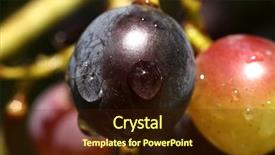  Presentation with bacteria colourful 3d - Amazing slides having angio - grape colourful close-up image backdrop and a wine colored foreground