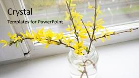  Presentation with foreign object damage - Amazing slide set having angiosperms plant - flower forsythia object backdrop and a mint green colored foreground