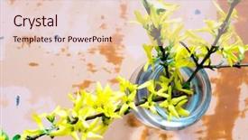  Presentation with flower - Slide set with angiosperms plant - flower forsythia object background and a lemonade colored foreground