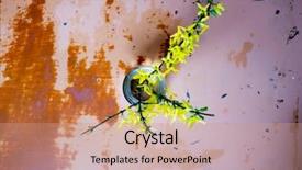  Presentation with foreign object damage - Presentation design enhanced with angiosperms plant - flower forsythia object background and a coral colored foreground