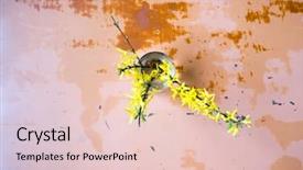  Presentation with flower - Amazing slide set having angiosperms plant - flower forsythia object backdrop and a lemonade colored foreground