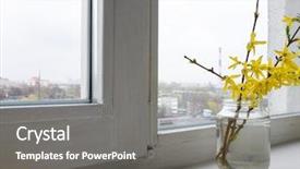  Presentation with flower - Audience pleasing PPT layouts consisting of angiosperms plant - flower forsythia object backdrop and a gray colored foreground