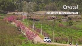  Presentation with sakura - Cool new PPT theme with angkhang-thailand-january-13-2017 backdrop and a gray colored foreground