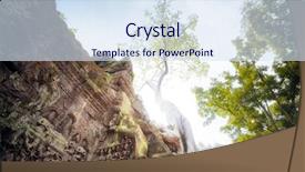  Presentation with ancient asia - Audience pleasing PPT theme consisting of angkor wat cambodia ta prohm khmer ancient buddhist temple in jungle forest famous landmark place of worship and popular tourist travel destination in asia backdrop and a sky blue colored foreground