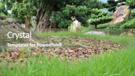  Presentation with garden - Colorful slide deck enhanced with angle close-up garden grass backdrop and a coral colored foreground
