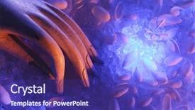  Presentation with sea shells - PPT theme featuring angle image of a hand background and a violet colored foreground