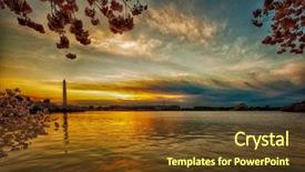  Presentation with cherry blossom - Audience pleasing PPT theme consisting of angle lens part of tidal backdrop and a tawny brown colored foreground