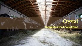  Presentation with low angle view of volleyball - Cool new PPT theme with angle view at rustic cowshed backdrop and a tawny brown colored foreground