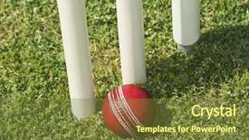  Presentation with cricket - Cool new presentation design with angle view of a cricket backdrop and a tawny brown colored foreground