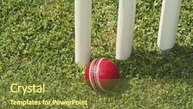 Presentation with cricket - Amazing presentation having angle view of a cricket backdrop and a tawny brown colored foreground