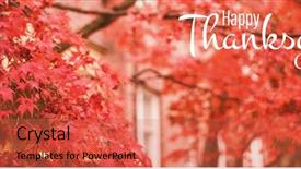  Presentation with happy thanksgiving - Presentation theme having angle view of autumn maple background and a coral colored foreground