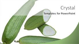  Presentation with angled loofah sponge gourd - Presentation design having angled loofah sponge gourd fruit background and a white colored foreground