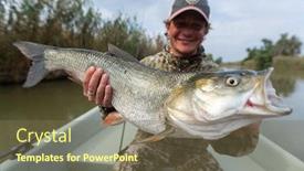  Presentation with trophy - Presentation theme having angler-sits-in-the-boat background and a violet colored foreground