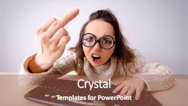  Presentation with pets on computer - Colorful theme enhanced with angry birds - funny nerd girl working backdrop and a tawny brown colored foreground