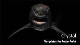  Presentation with angry - Slides enhanced with angry-shark-with-sharp-teeth background and a black colored foreground