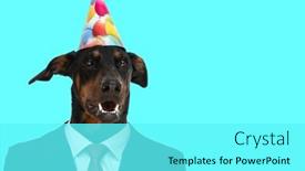  Presentation with navy blue - Slide set enhanced with angry-teckel-dachshund-dog background and a cyan colored foreground